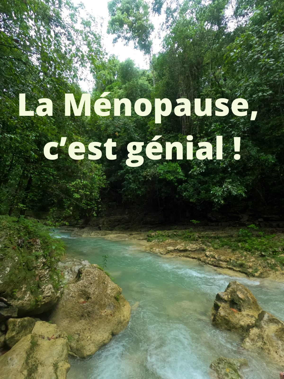 Café Ménopause